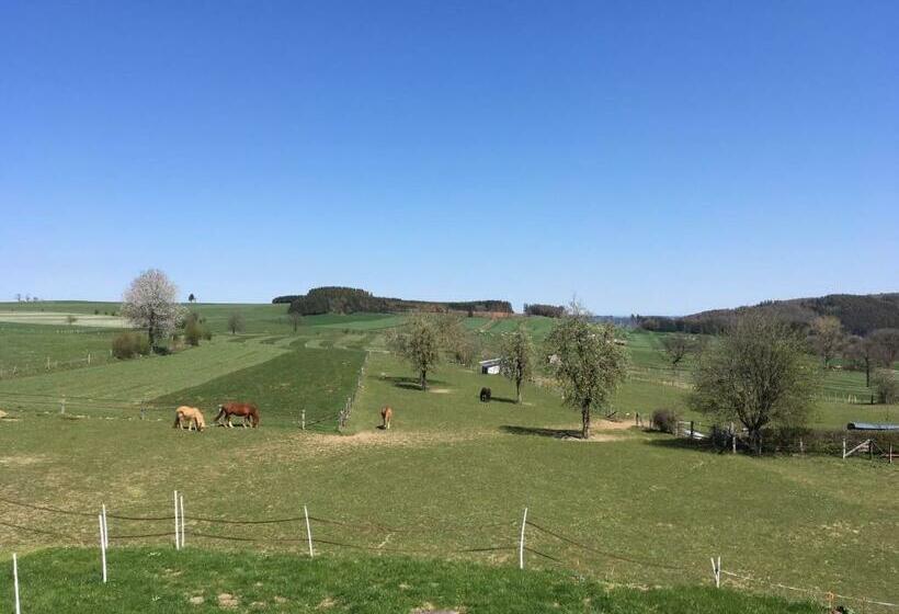 B&b Pegasus Ii Chambre De Luxe Avec Sauna Privatif