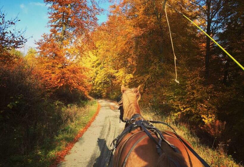 B&b Pegasus Ii Chambre De Luxe Avec Sauna Privatif
