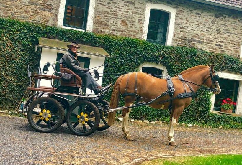 B&b Pegasus Ii Chambre De Luxe Avec Sauna Privatif
