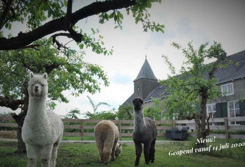 Bed and Breakfast Bed & Brood De Vogelpoel