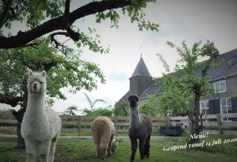 ベッドアンドブレックファースト Bed & Brood De Vogelpoel