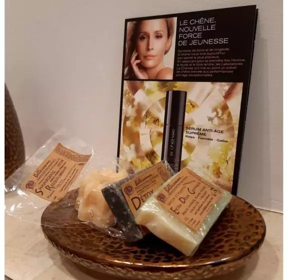 ベッドアンドブレックファースト Château De Mongazon