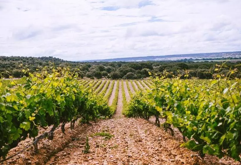 ホテル Castillo De Monte La Reina Posada Real & Bodega