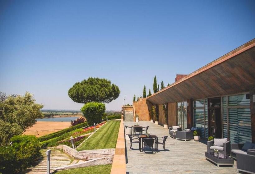 Hotel Castillo De Monte La Reina Posada Real & Bodega