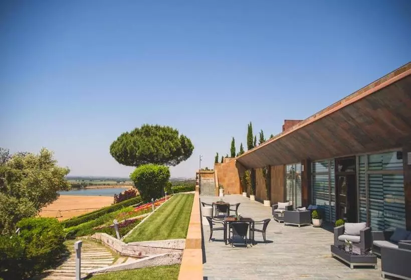 ホテル Castillo De Monte La Reina Posada Real & Bodega