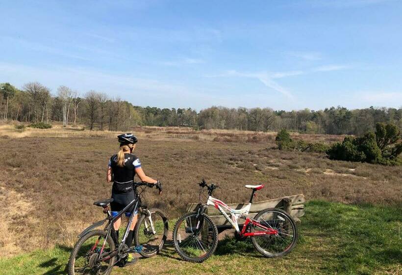 호텔 Wildenborcherhof