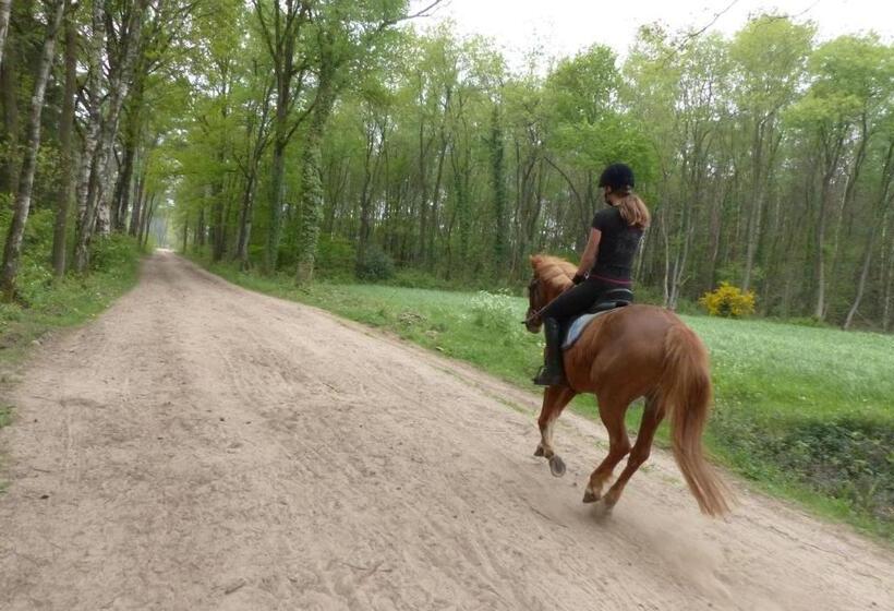 호텔 Wildenborcherhof