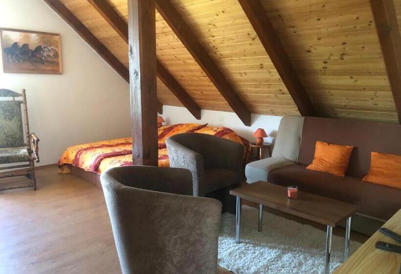 פנסיון Ubytování Pod Haniperkem