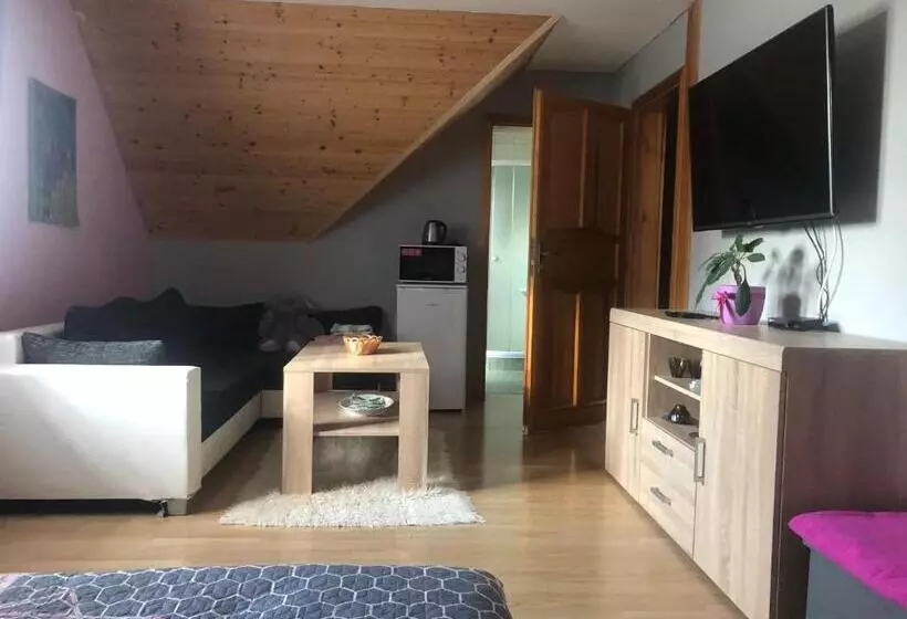 ペンション Ubytování Pod Haniperkem