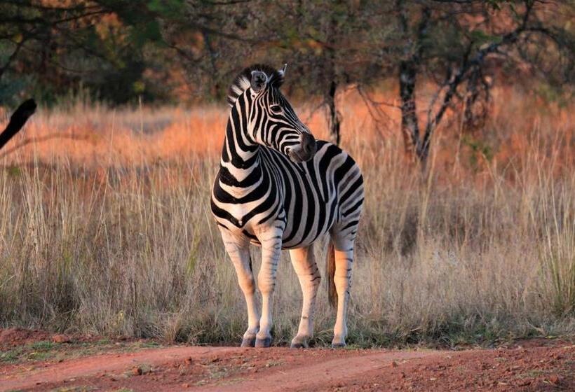 استراحتگاه Bass Lake Country Lodge