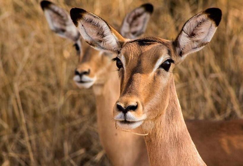 استراحتگاه Bass Lake Country Lodge