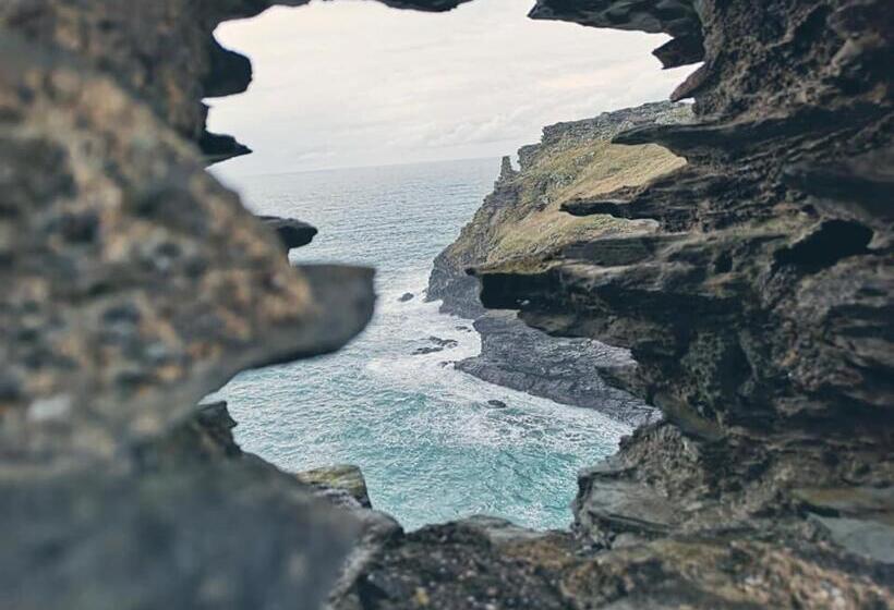 Общежитие Dolphins Backpackers