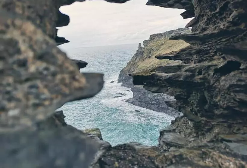 ユースホステル Dolphins Backpackers