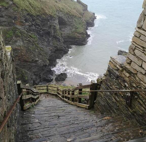 Общежитие Dolphins Backpackers