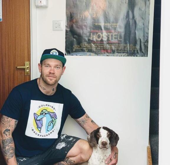 Общежитие Dolphins Backpackers