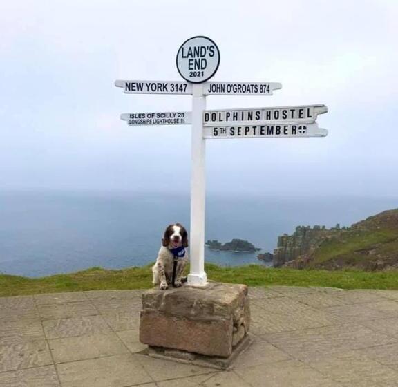 Общежитие Dolphins Backpackers