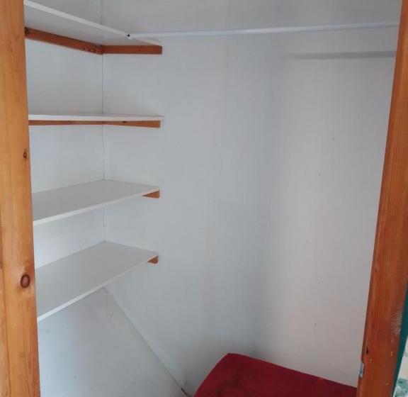 Общежитие Dolphins Backpackers