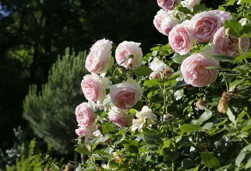 مبيت وإفطار Bnb Garni Kreithof