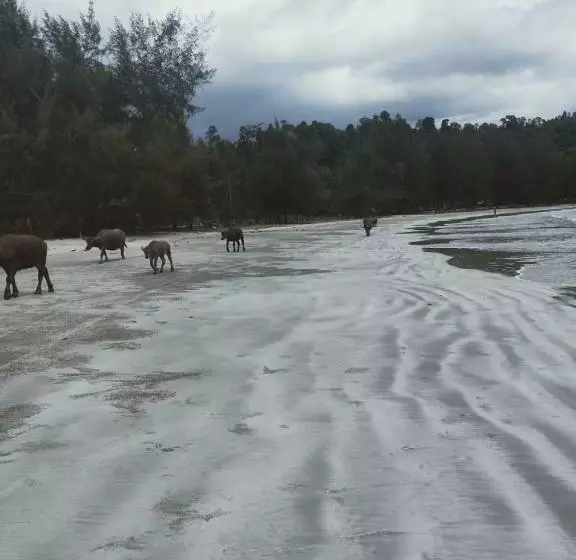 Aamiaismajoitus (B&B) Pondok Oma Iii