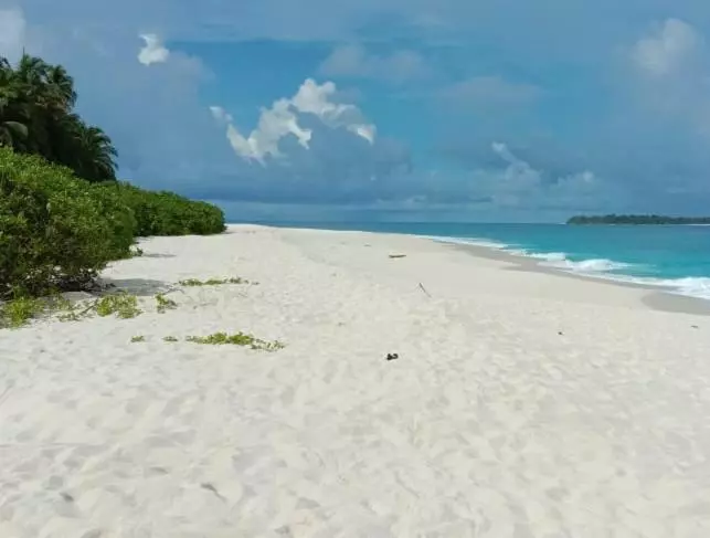 Aamiaismajoitus (B&B) Pondok Oma Iii