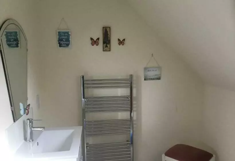 Aamiaismajoitus (B&B) Rhenetra