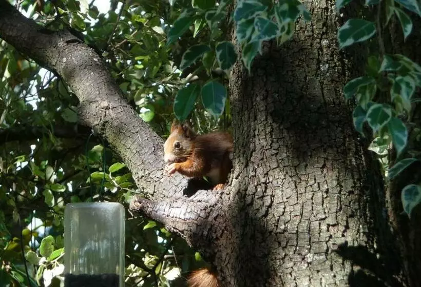 ベッドアンドブレックファースト Santolines En Provence