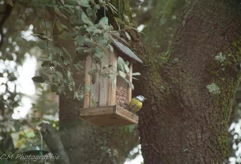 ベッドアンドブレックファースト Santolines En Provence