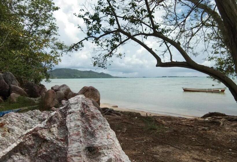 Szálloda Latansa Inn