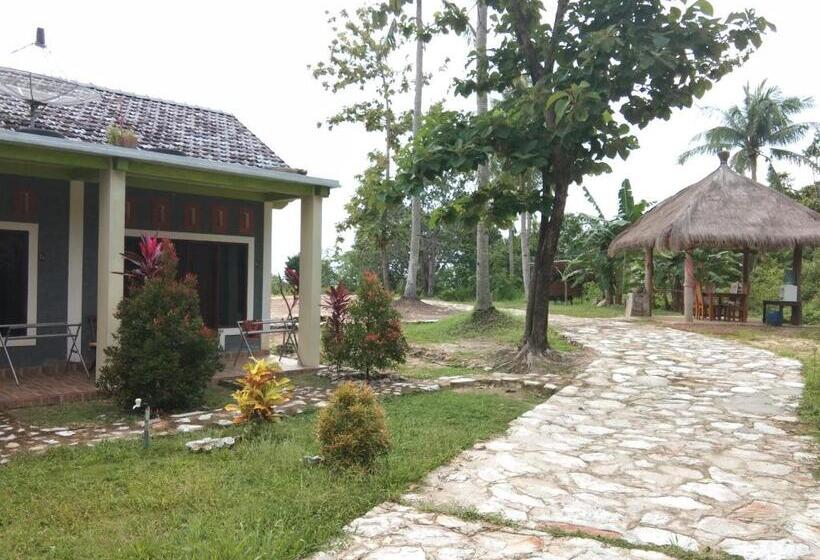 Szálloda Latansa Inn