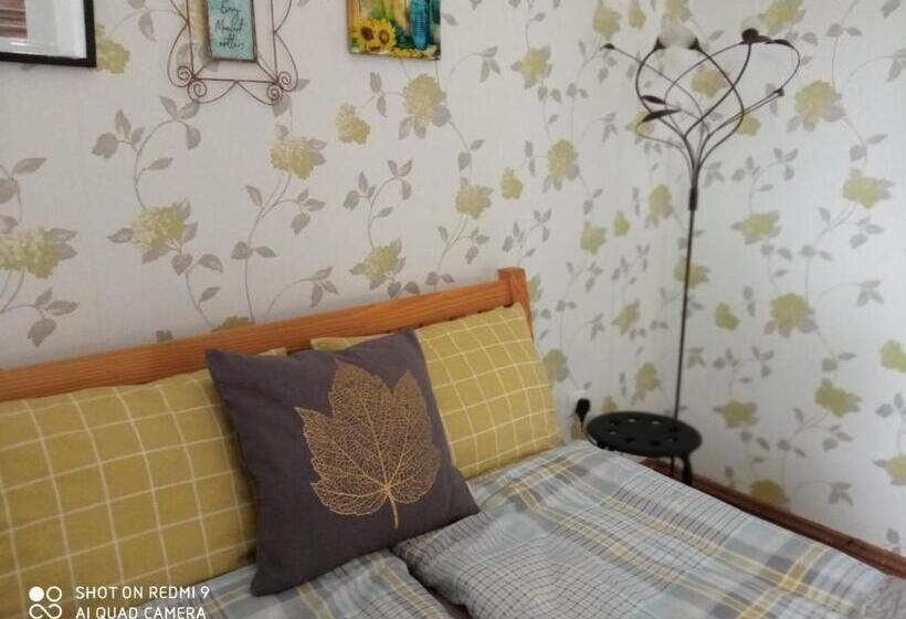 بنسيون Rozmaring Vendégház