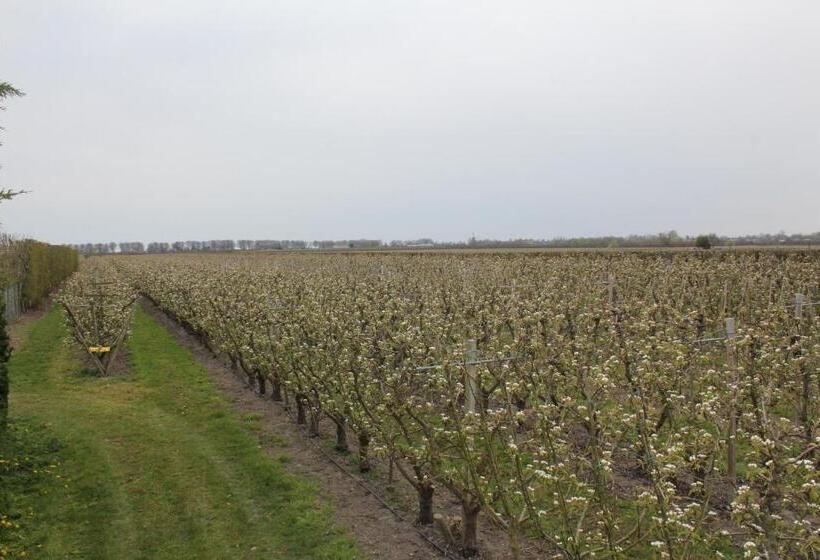 B&b Elbahof, Goed En Goedkoop!