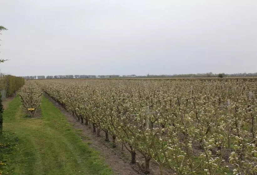 B&b Elbahof, Goed En Goedkoop!