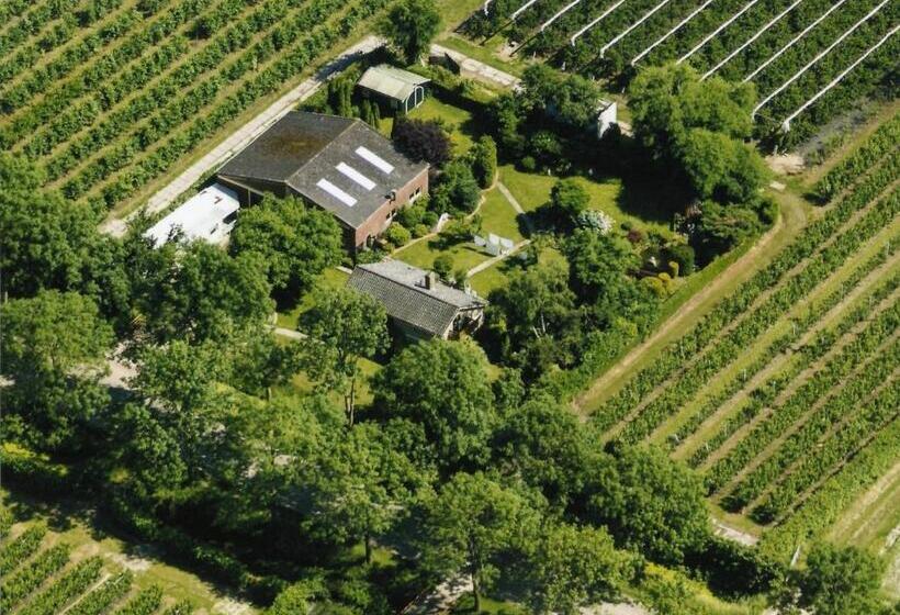 B&b Elbahof, Goed En Goedkoop!