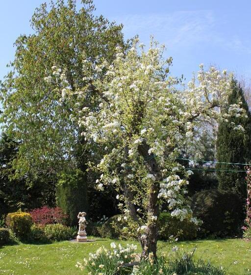 B&b Elbahof, Goed En Goedkoop!