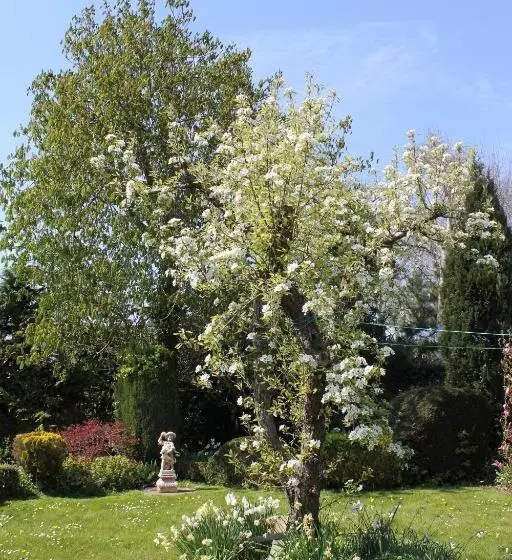 B&b Elbahof, Goed En Goedkoop!