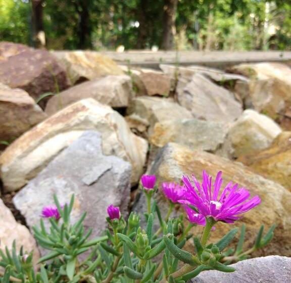 Bed and Breakfast Diana Panzió