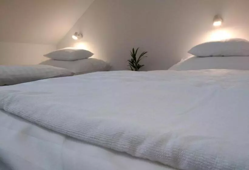 Aamiaismajoitus (B&B) Diana Panzió