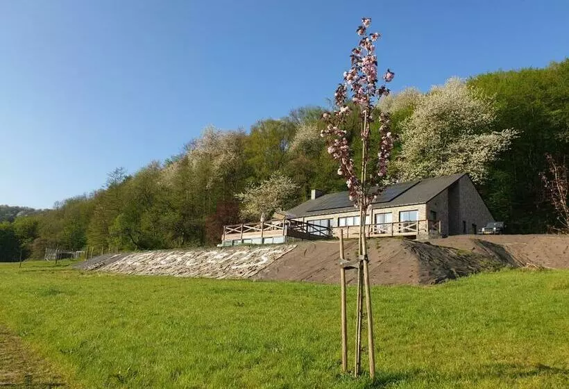 ベッドアンドブレックファースト Le Val Des Cerfs   Het Hertendal