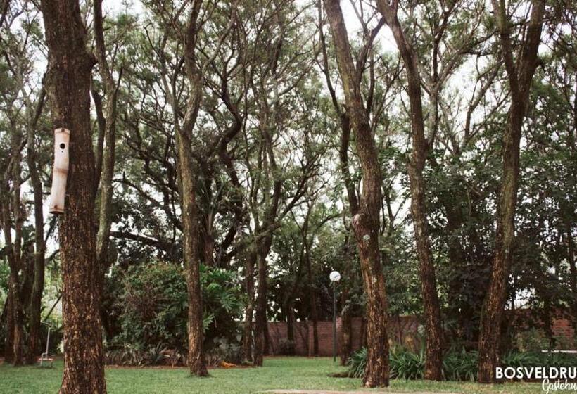 פנסיון Bosveldrus Gastehuis