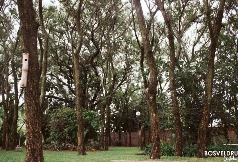 Majatalo Bosveldrus Gastehuis