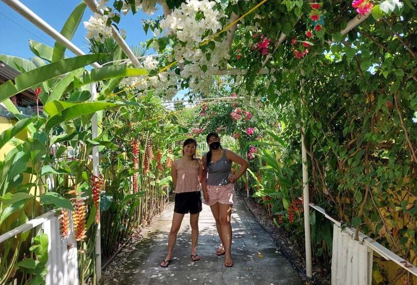 Vandrarhem Maui S Place