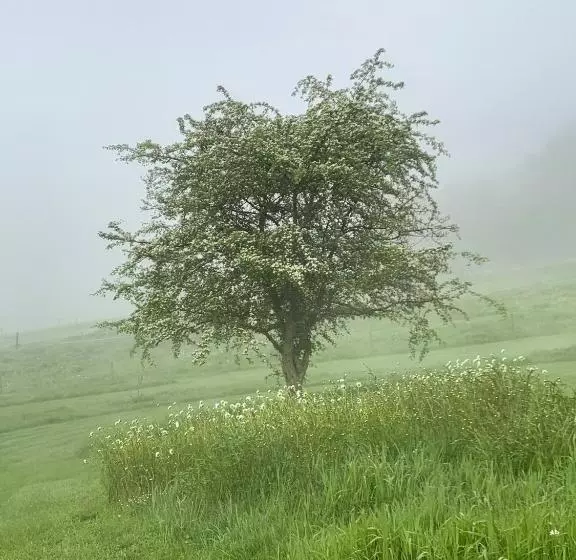 Aamiaismajoitus (B&B) L Impasse De Lincé