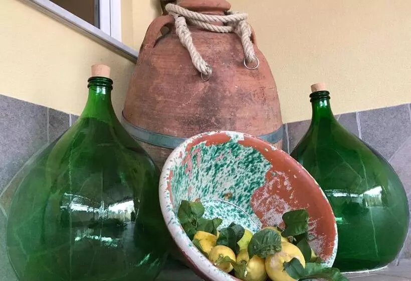تختخواب و صبحانه La Cantina Dello Sgatto