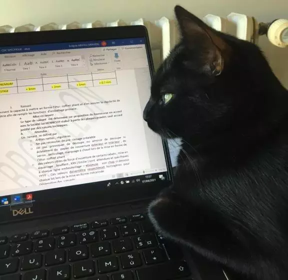 Aamiaismajoitus (B&B) Suite En Terrasse à Cognac