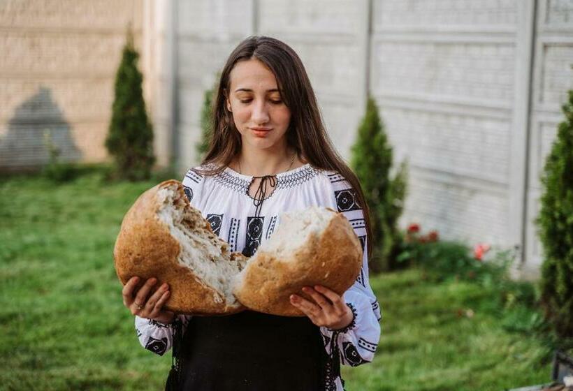 펜션 Casa Brutarului Crit