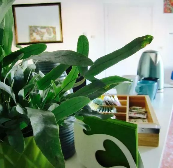 Majatalo Le Stanze Di Ninni