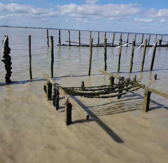 پانسیون Les Chevaux De L Hippocampe