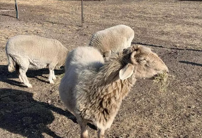 Majatalo Couples Retreat With Mountain View Near Hobart