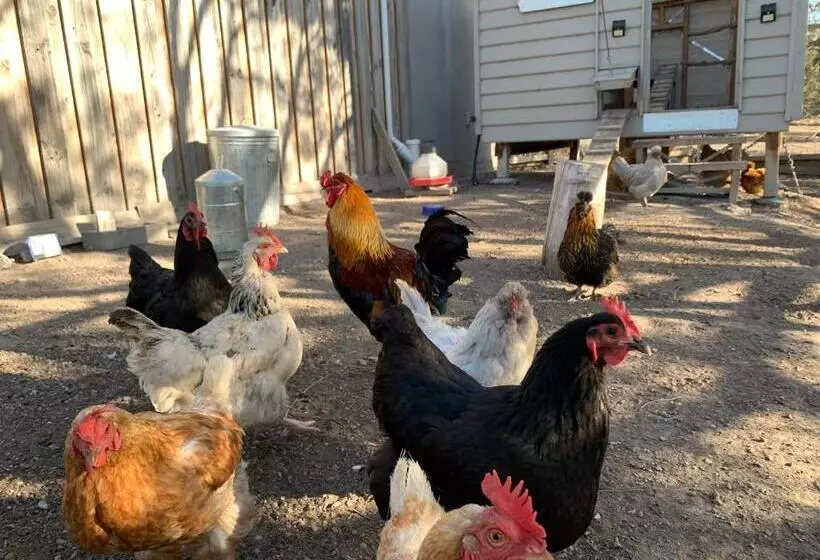 Majatalo Couples Retreat With Mountain View Near Hobart