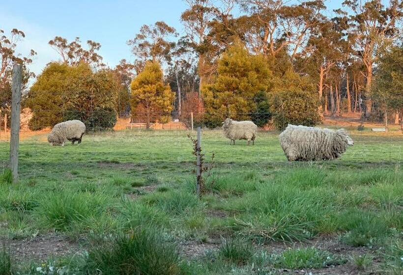 펜션 Couples Retreat With Mountain View Near Hobart